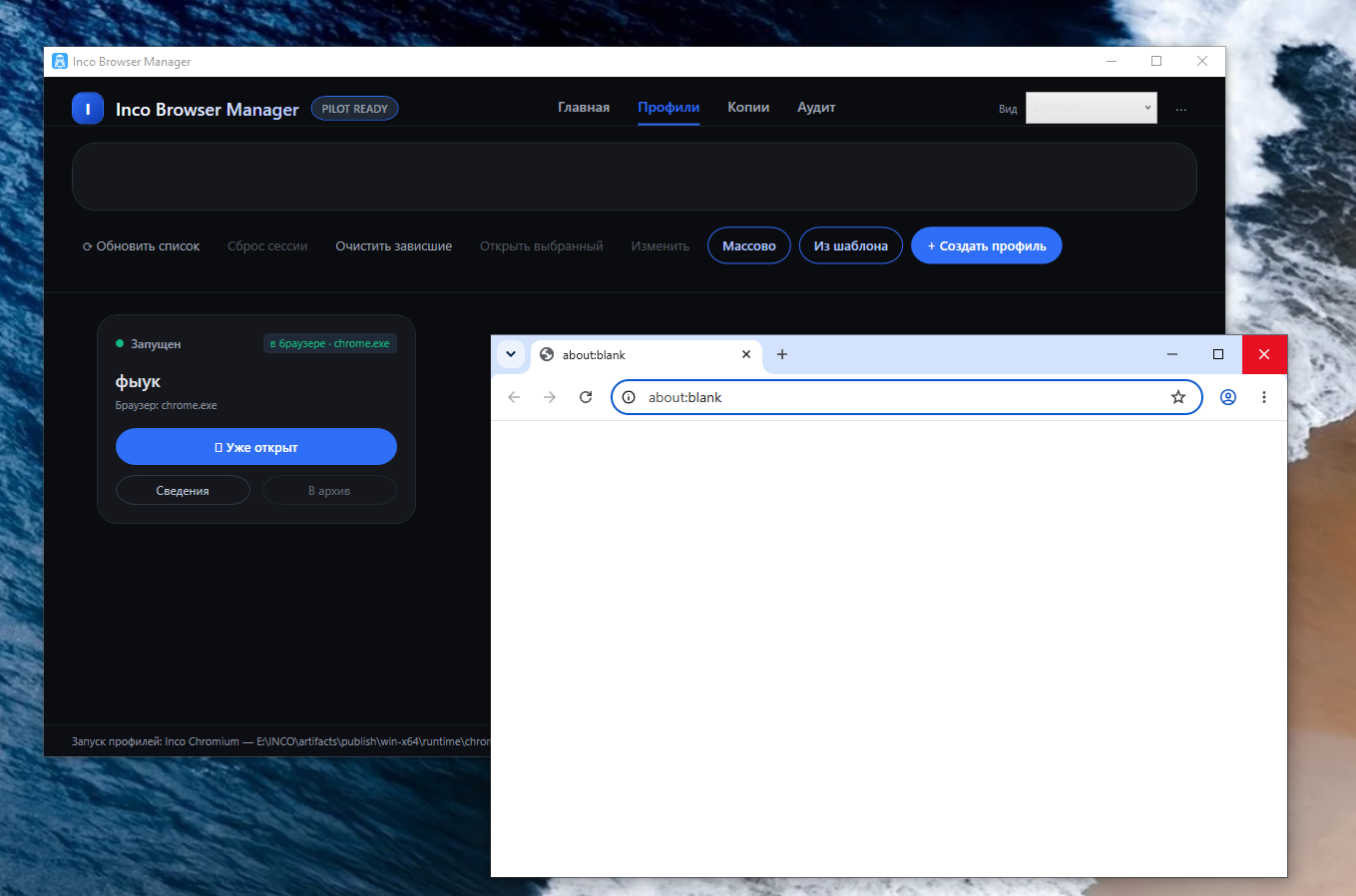 Inco Browser Manager — screen
